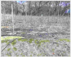  2025Ÿ��11455  �����