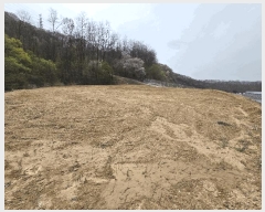  2025Ÿ11472 泲 ƻ  ̸ 336      ()