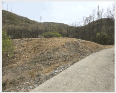  2025Ÿ11472 泲 ƻ  ̸ 336      ()