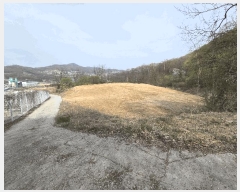  2025Ÿ11472 泲 ƻ  ̸ 336      ()