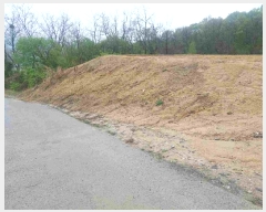  2025Ÿ11472 泲 ƻ  ̸ 336      ()