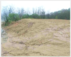  2025Ÿ11472 泲 ƻ  ̸ 336      ()