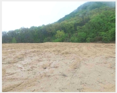  2025Ÿ11472 泲 ƻ  ̸ 336      ()