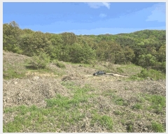  2025Ÿ11492 泲 ƻ θ ź 499-9      ()