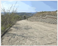  2025Ÿ11492 泲 ƻ θ ź 499-9      ()