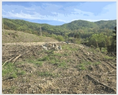  2025Ÿ11492 泲 ƻ θ ź 499-9      ()