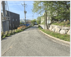  2025Ÿ11492 泲 ƻ θ ź 499-9      ()