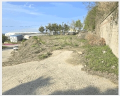  2025Ÿ11492 泲 ƻ θ ź 499-9      ()