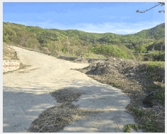  2025Ÿ11492 泲 ƻ θ ź 499-9      ()