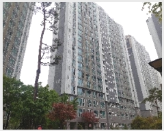  2025Ÿ11521 泲 ƻ   1717 ̷Ʈ 102 131301ȣ   Ʈ