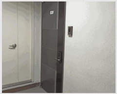  2025Ÿ11703 泲 ƻ  縮 1723 1 3 301ȣ   ǽڰ