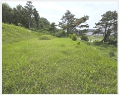  2025Ÿ11742 泲 ƻ ָ ︮ 104-24      (Ӿ)