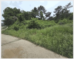  2025Ÿ11742 泲 ƻ ָ ︮ 104-24      (Ӿ)