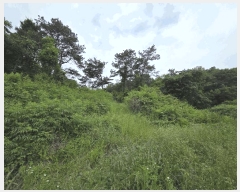  2025Ÿ11742 泲 ƻ ָ ︮ 104-24      (Ӿ)