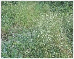  2025Ÿ11742 泲 ƻ ָ ︮ 104-24      (Ӿ)