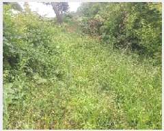  2025Ÿ11742 泲 ƻ ָ ︮ 104-24      (Ӿ)