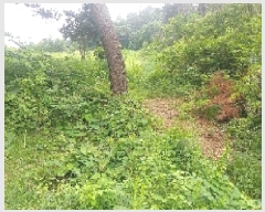  2025Ÿ11742 泲 ƻ ָ ︮ 104-24      (Ӿ)