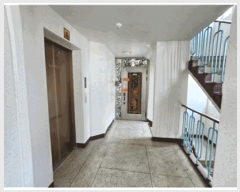  2025Ÿ11749 泲 ƻ ȭ 584 õƮ 108 8804ȣ    Ʈ