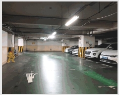  2025Ÿ��11807  ���ǽ��ڰ��