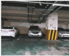  2025Ÿ��11807  ���ǽ��ڰ��