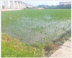  2025Ÿ��11819 �泲 �ƻ�� ������ ��븮 214-1      ����(��)���