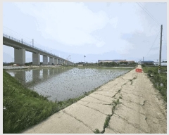  2025Ÿ��11819 �泲 �ƻ�� ������ ��븮 214-1      ����(��)���