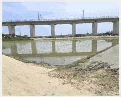  2025Ÿ��11819 �泲 �ƻ�� ������ ��븮 214-1      ����(��)���