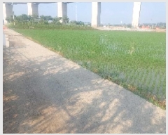  2025Ÿ��11819 �泲 �ƻ�� ������ ��븮 214-1      ����(��)���