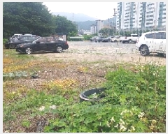  2025Ÿ��11847  ���������