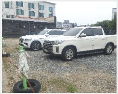  2025Ÿ��11847  ���������