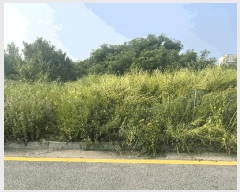  2025Ÿ11911 泲 õȽ  õ  539     ()