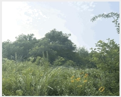  2025Ÿ11911 泲 õȽ  õ  539     ()