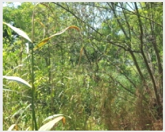  2025Ÿ11911 泲 õȽ  õ  539     ()