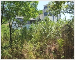  2025Ÿ11911 泲 õȽ  õ  539     ()