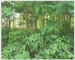  2025Ÿ11911 泲 õȽ  õ  539     ()