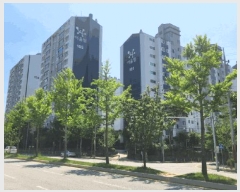  2025Ÿ11933 泲 ƻ  ϼ 1181 ƻȣ︲Ʈ 105 111101ȣ   Ʈ