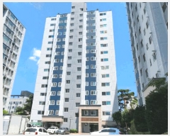  2025Ÿ11933 泲 ƻ  ϼ 1181 ƻȣ︲Ʈ 105 111101ȣ   Ʈ