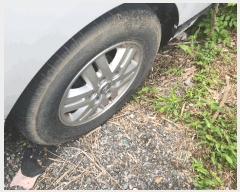  2025Ÿ��12041  �������