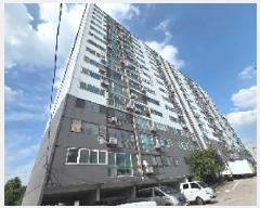  2025Ÿ12114 泲 ƻ ǰ 527-4 6 604ȣ     Ʈ