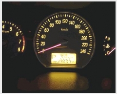  2025Ÿ��12190  �������