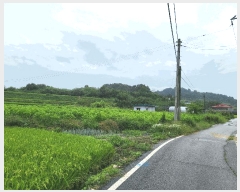  2025Ÿ��12329 �泲 �ƻ�� ��â�� �Ŵ޸� 472      ����(��1)���