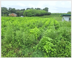  2025Ÿ��12329 �泲 �ƻ�� ��â�� �Ŵ޸� 472      ����(��1)���