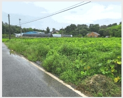  2025Ÿ��12329 �泲 �ƻ�� ��â�� �Ŵ޸� 472      ����(��1)���