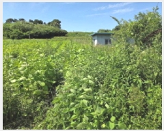  2025Ÿ��12329 �泲 �ƻ�� ��â�� �Ŵ޸� 472      ����(��1)���