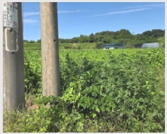  2025Ÿ��12329 �泲 �ƻ�� ��â�� �Ŵ޸� 472      ����(��1)���