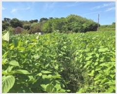  2025Ÿ��12329 �泲 �ƻ�� ��â�� �Ŵ޸� 472      ����(��1)���