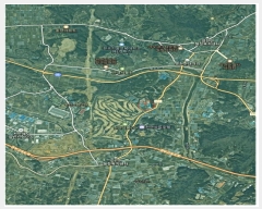  2025Ÿ��12455 õ�Ƚ� ������ ���Ÿ� �찢��� 21      �������