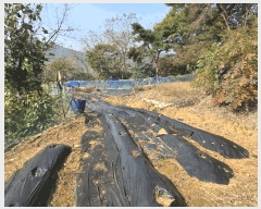  2025Ÿ��12499  �����