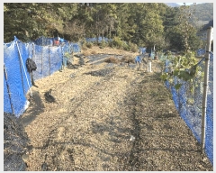  2025Ÿ��12499  �����