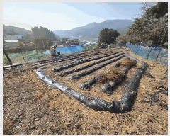  2025Ÿ��12499  �����